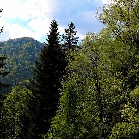 Pensiunea Vanatorul BaileTusnad Exterior foto